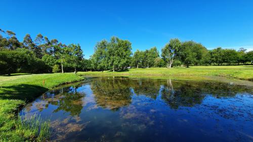 Campo Hércules Club Golf 