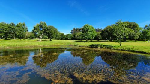 Campo Hércules Club Golf 