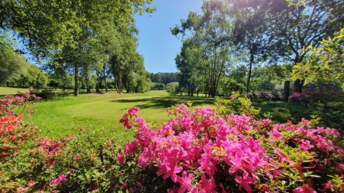 Campo Hércules Club Golf 