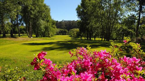 Campo Hércules Club Golf 