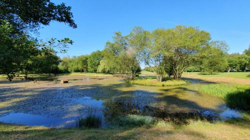 Campo Hércules Club Golf 