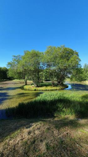 Instalaciones Hercules Club Golf (14)